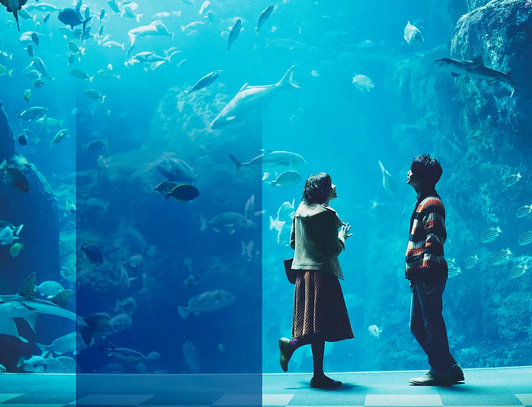 水族館で向かい合う大人になったふたり